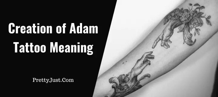 Creation of Adam Tattoo Meaning with Ideas & Designs